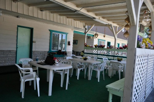 Western Motel image 19